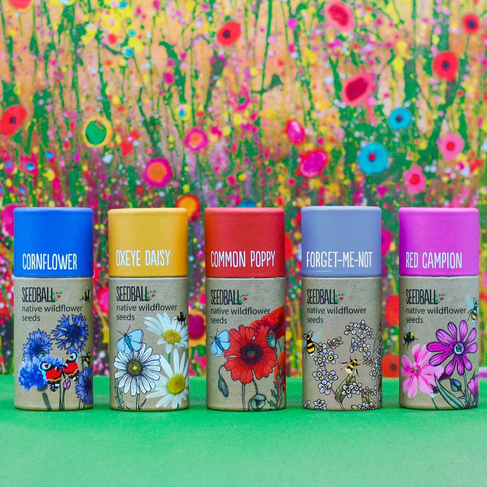 Seedball gifts