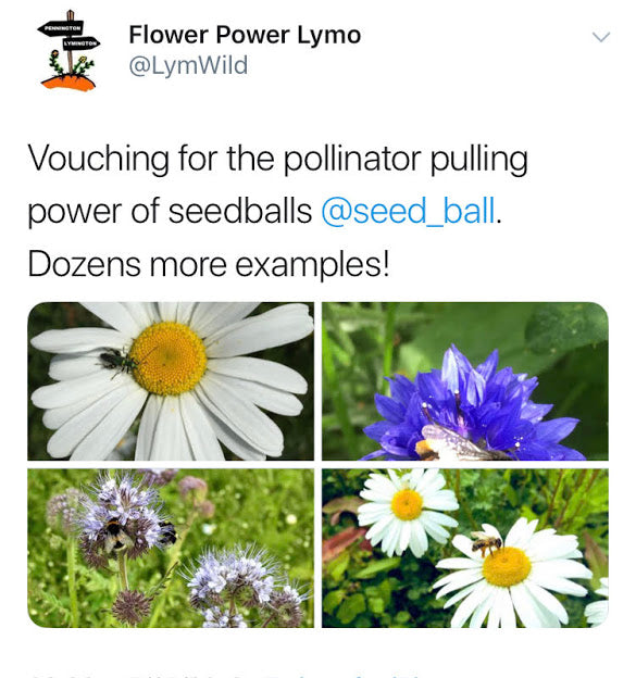 287747270.jpg