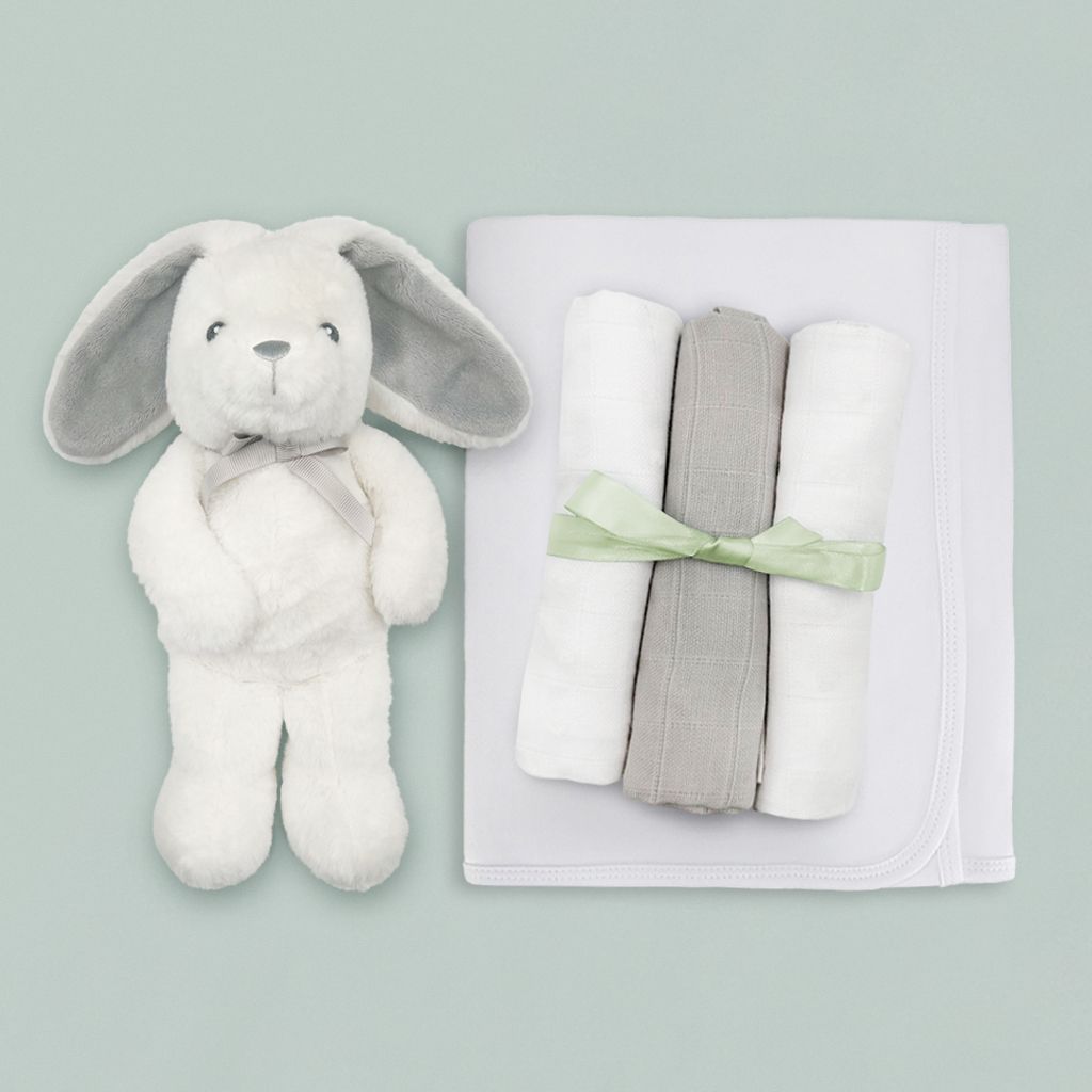 New Parents and Baby Luxury Gift Basket