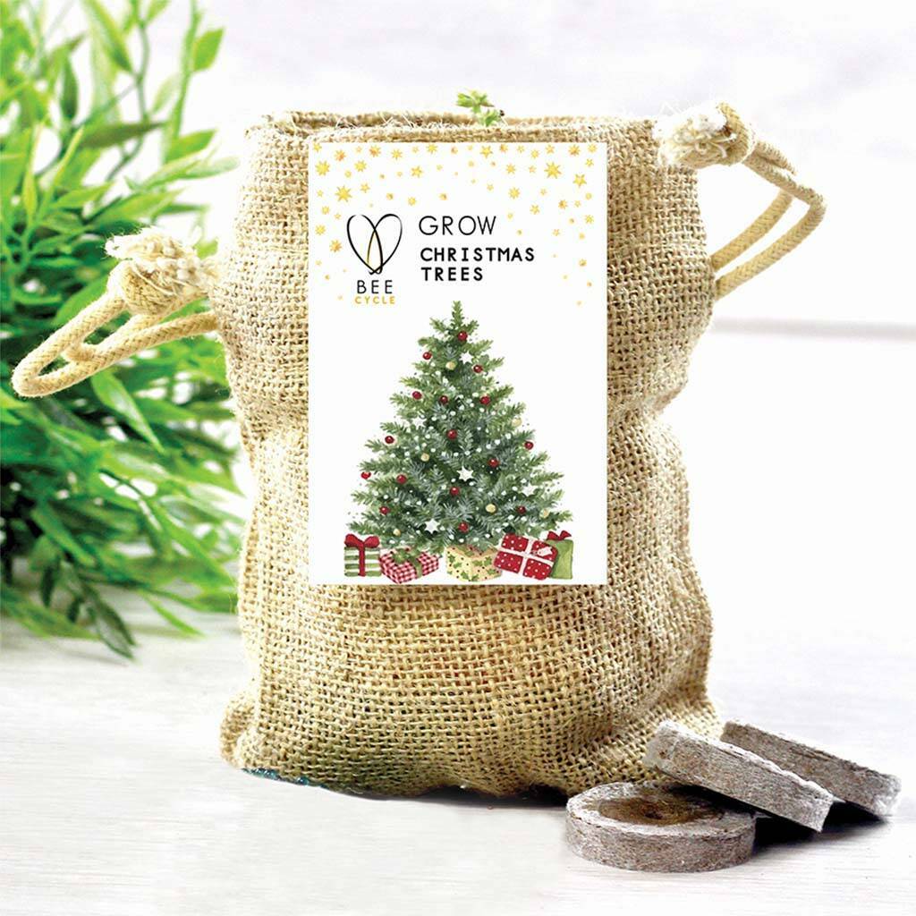 Merry Christmas Tree Jute Grow Kit