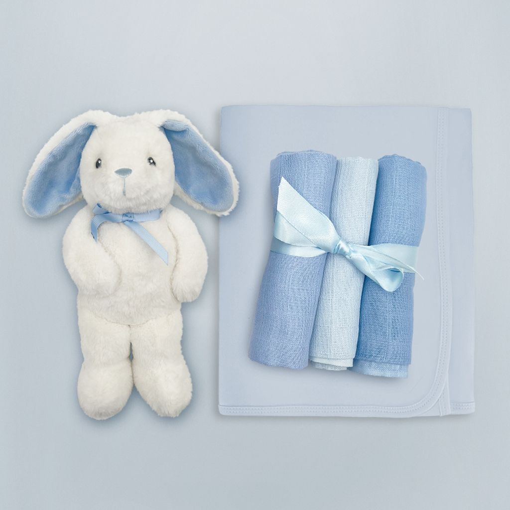 New Parents and Baby Luxury Gift Basket