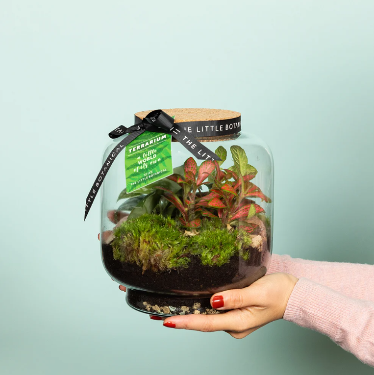Round Glass Terrarium